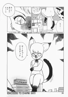 チャーム・ザ・キャット, 日本語