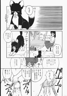 チャーム・ザ・キャット, 日本語