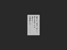 破邪天使ミーナ, 日本語