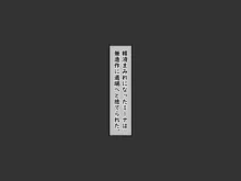 破邪天使ミーナ, 日本語