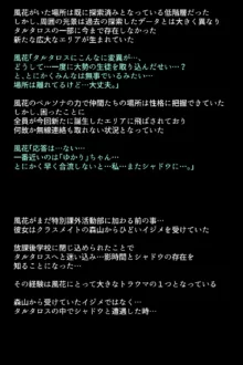 シャドウに弄ばれたヒロインたちは性欲を抑えきれなくなっていく!?, 日本語