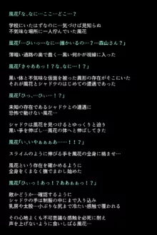 シャドウに弄ばれたヒロインたちは性欲を抑えきれなくなっていく!?, 日本語