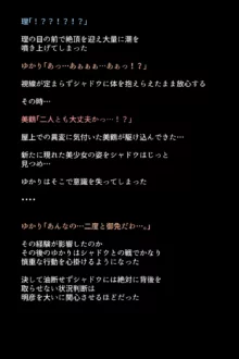 シャドウに弄ばれたヒロインたちは性欲を抑えきれなくなっていく!?, 日本語