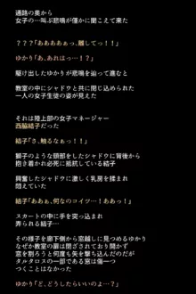 シャドウに弄ばれたヒロインたちは性欲を抑えきれなくなっていく!?, 日本語