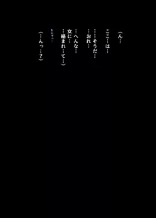 シーメールお仕置き♂セックス 男の◯はこの街で悪いことをしてはイケない, 日本語