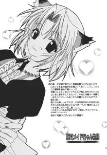 猫耳メイドちゃん物語 -plus-, 日本語