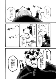 イカリとヤマネ, 日本語