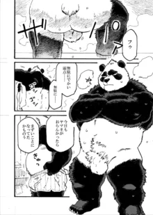 イカリとヤマネ, 日本語