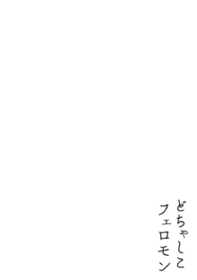 どちゃしこフェロモン, 日本語