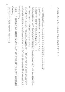 政府公認！超少子化対策！孕ませリゾートホテルでハーレム子作り, 日本語