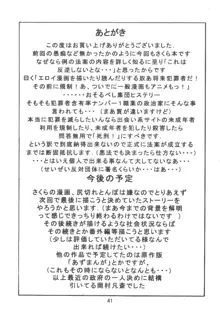 九龍城6 さくらちゃんで遊ぼう3, 日本語