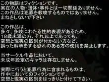 100円で生意気な妹さらってきた, 日本語