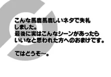 ポケ姦メイちゃん＆おまけ詰めあわせ, 日本語