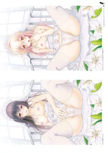 Kimi to Kanojo to Kanojo no Koi. Visual Fan Book, 日本語