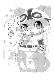 パックマンコピー本, 日本語