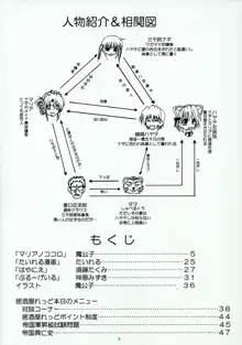 ハヤテのごとし!?, 日本語