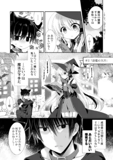 ポンコツ魔女とイジワルな猫。-召喚した使い魔が言うことを聞いてくれません！-, 日本語