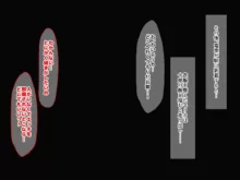 俺をゴミのように見下す学校のマドンナ後輩1＆2, 日本語