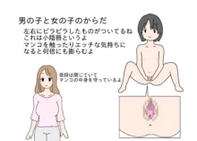 大人が教えてくれない男の子と女の子の体の違い, 日本語