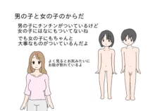 大人が教えてくれない男の子と女の子の体の違い, 日本語