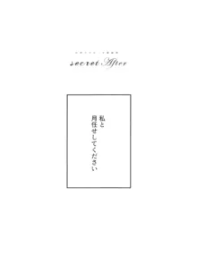 secret after, 日本語