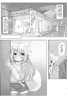 けもみみ少女は癒したい, 日本語