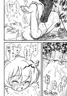 貧乳娘13, 日本語