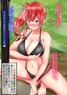 どうぶつなかよしドスケベコスプレえっちCG集, 日本語