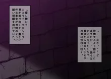 絶倫富豪に敗北する捜査官ちゃん③ 完全版, 日本語