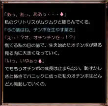 アソートハーレム メーテル アンド フランソワーズ, 日本語