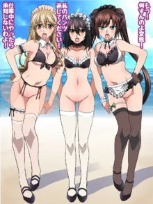 姫〇雪菜とラブラブHするCG集XXVII 真夏のビキニメイド編, 日本語