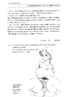 彼女の独身者たちによって裸にされた花嫁、さえも, 日本語