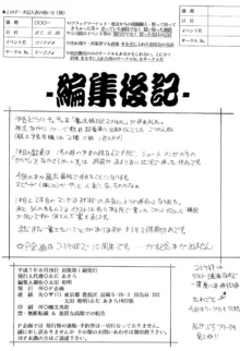 魔法絵日記2 FINAL, 日本語