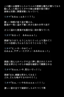 人妻英雄たちの苦悩, 日本語