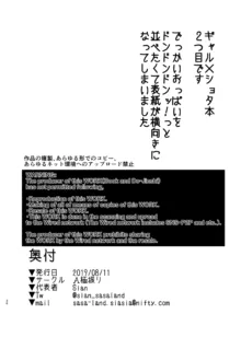 お出かけしたのはHなギャルお姉ちゃん達との海でした, 日本語