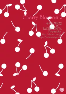 Cherry Blossom 2, 日本語