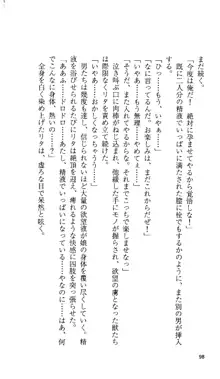 戦乙女ヴァルキリー 「あなたにすべてを捧げます」 <女神被辱編>, 日本語