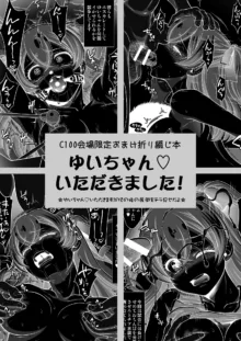 おまけ本これくしょん４ －エロキュア編－, 日本語