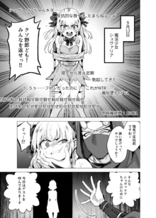 TS魔法少女シュヴァリアちゃんとその仲間はメスに堕とされてもう男に戻れないってマジですか!, 日本語