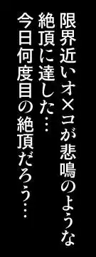 魔法少女なのII-夜天娘ティア編, 日本語