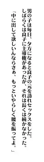 おもちゃの資質, 日本語