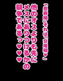 Kakko Tsukete Eroi Koto ni Kyoumi nai Hurishite tara Ore no Houga Sakini Suki datta Osananajimi wo Ero Saru no Tomodachi ni Torareru o Hanashi, 日本語