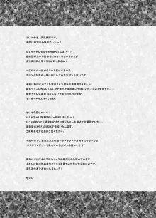 痴漢の存在しない素晴らしいセカイ 海編, 日本語