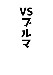 アココスVS, 日本語