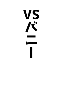 アココスVS, 日本語