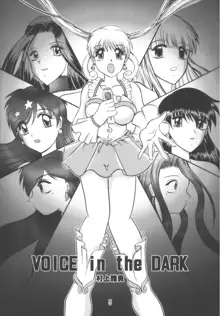 VOICE in the DARK, 日本語