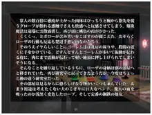 ソーサラーハンター～淫魔法城の虜～, 日本語