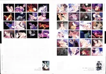 Nitroplus Erotic Art Collection, 日本語