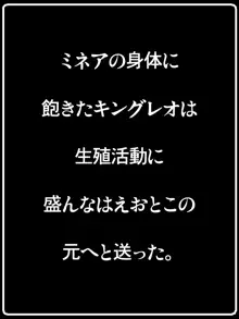 ピンクレオタ, 日本語