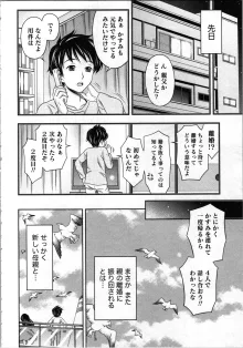 種付けされたい女たち, 日本語